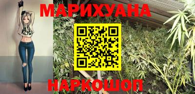 трава Кингисепп