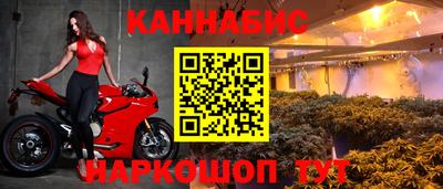 трава Кингисепп