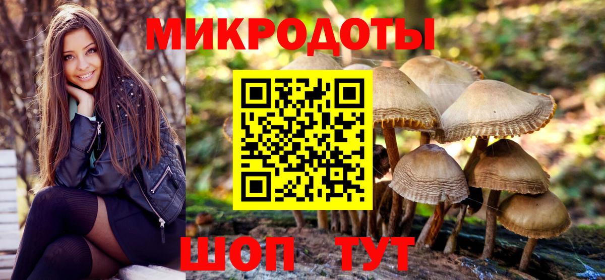 Галлюциногенные грибы мухоморы Киселёвск