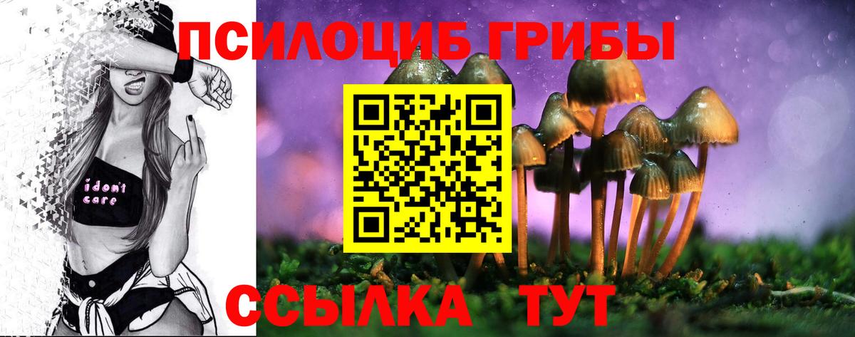 Галлюциногенные грибы мицелий  Вход с VPN  Галлюциногенные грибы прущие грибы  Киселёвск 